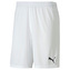 Puma teamGOAL 23 knit Shorts - M