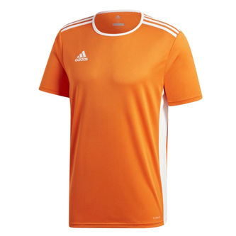 Dětský dres Adidas ENTRADA 18 | Oranžová | 164