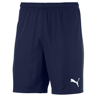 Puma teamGOAL 23 knit Shorts jr - 140