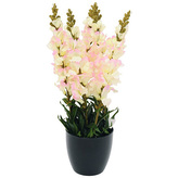 Hledík Europalms výška 65 cm, bílý