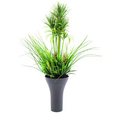 Tráva vysoká Europalms Tráva vysoká s květináčem, 90 cm