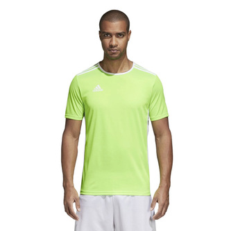 Dětský dres Adidas Entrada 18 Jersey | Zelená | 128