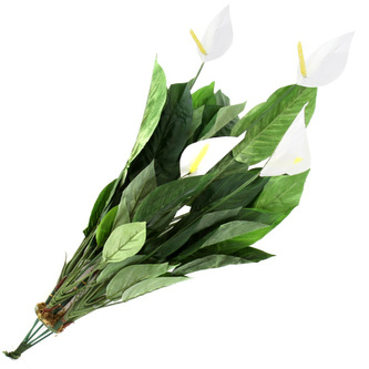 Spathiphyllum Europalms výška 71 cm