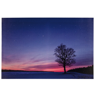 Obraz Idena motiv země, 40 x 60 cm