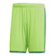 Šortky Adidas Regista 18 | Světle zelená | XXL