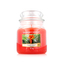 Yankee Candle Aromatická svíčka Classic střední The Last Paradise 411 g unisex