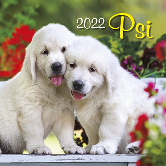Kalendář 2022 - Psi, nástěnný