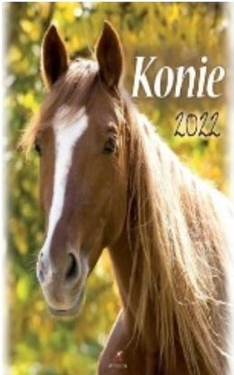 Kalendarz 2022 Ścienny Konie ARTSEZON
