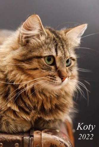Kalendarz 2022 Ścienny dwustronny Koty RADWAN