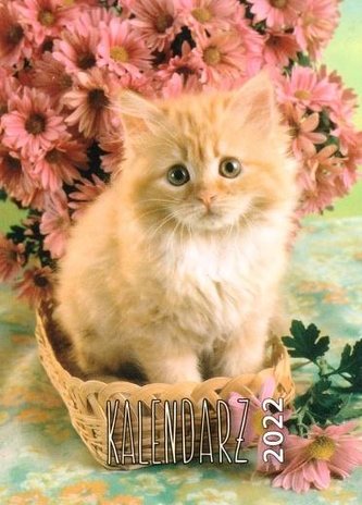 Kalendarz 2022 Zdzierak MIX ARTSEZON