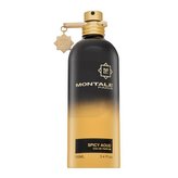 Montale Spicy Aoud - EDP 100 ml unisex