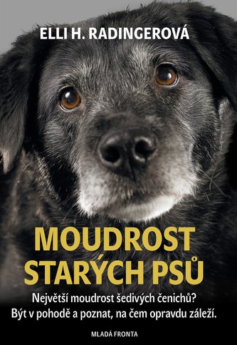 Moudrost starých psů Moudrost starých psů