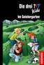 Die drei ??? Kids, 89, Im Geistergarten