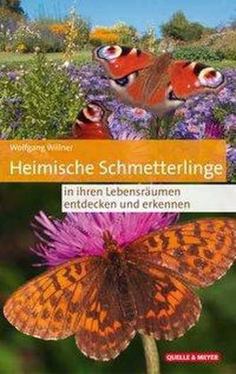 Heimische Schmetterlinge in ihren Lebensräumen