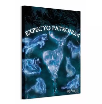Obraz Harry Potter - Expecto Patronum
