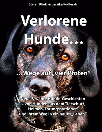Vergessene Hunde...Wege auf vier Pfoten