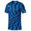 Puma cup core f02 - L