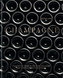 Champagne : The essential guide to the wines, producers, and terroirs of the iconic region
