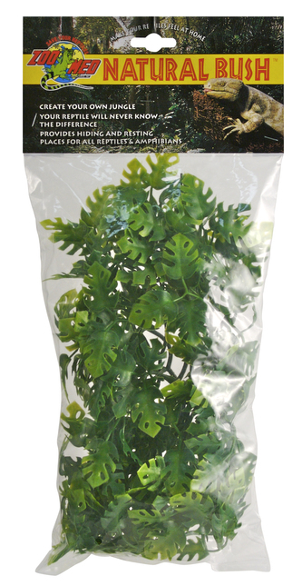 Rost.ter.ZMD Amazonian Phyllo M