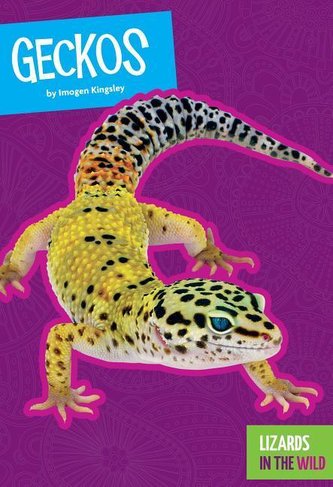 Geckos