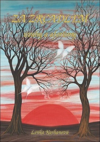 Za zrcadlem