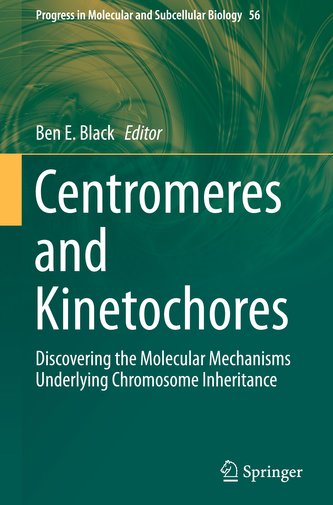 Centromeres and Kinetochores