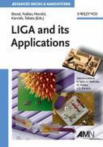 LIGA and Its Applications