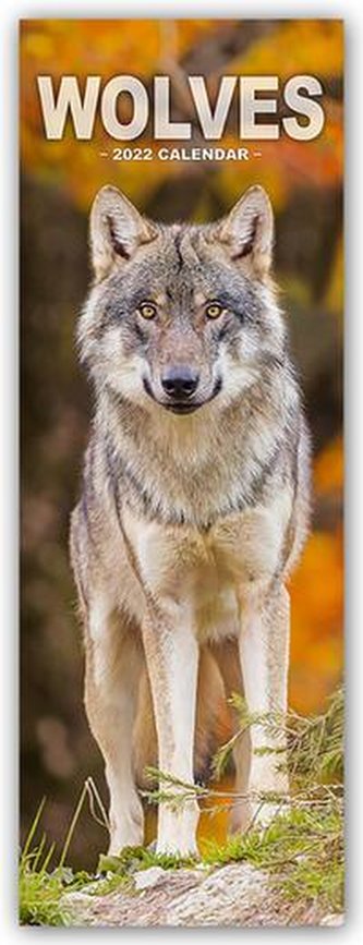 Wolves - Wölfe 2022