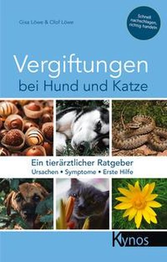 Vergiftungen bei Hund und Katze