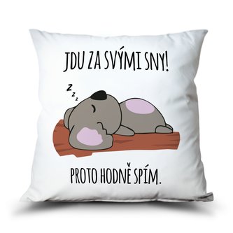 Ahome Polštář Jdu za svými sny! Hodně spím.