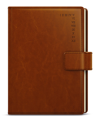 Denní A5 diář manager hnědá