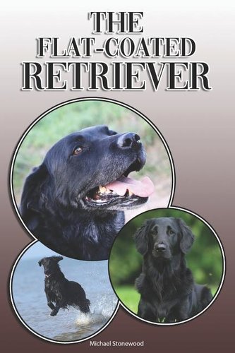 The Flat-Coated Retriever: A Complete and Comprehensive Owners Guide To: Buying, Owning, Health, Grooming, Training, Obedience,
