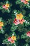 Address Book: For Contacts, Addresses, Phone, Email, Note, Emergency Contacts, Alphabetical Index with Green Leave and Tropical