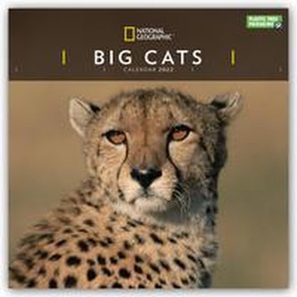 Big Cats - Raubkatzen - Löwen - Tiger - Geparden - Leoparden 2022