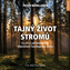 Tajný život stromů (audio)