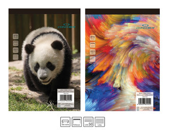 Blok CONCORDE A5 linka 8mm, 50 listů