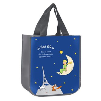 MALÝ PRINC TAŠKA SCP26Z02 LE P. PRINCE KIUB