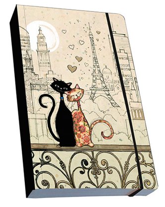 Note book NBA601A03 BUG ART KIUB