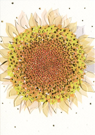 Přání MO5516W Turnowsky