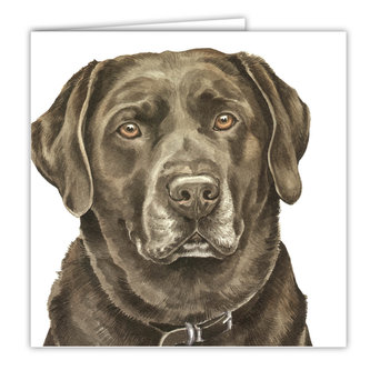 WaggyDogz Přání AC-105 Waggy Dogz