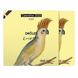 Kalendář CALCLA052 PAPOUŠEK KIUB