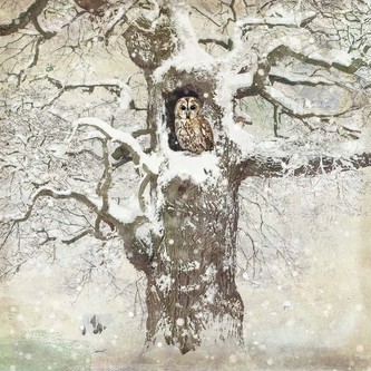 Příní WC037 BUG ART - vánoční