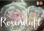 Rosenduft Shabby Chic Style (Wandkalender 2022 DIN A3 quer)