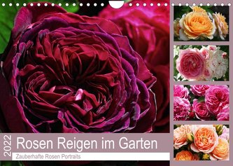 Rosen Reigen im Garten (Wandkalender 2022 DIN A4 quer)