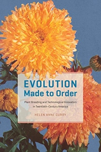Evolution Made to Order