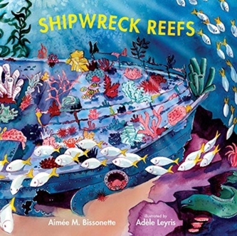 SHIPWRECK REEFS