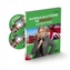 Plynulo za 4 týždne po anglicky-Pons-jazykový kurz+ 2CD