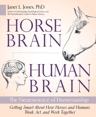 Horse Brain, Human Brain