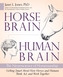 Horse Brain, Human Brain