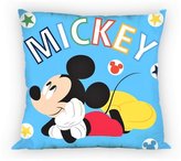 POLŠTÁŘ MICKEY